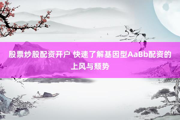 股票炒股配资开户 快速了解基因型AaBb配资的上风与颓势