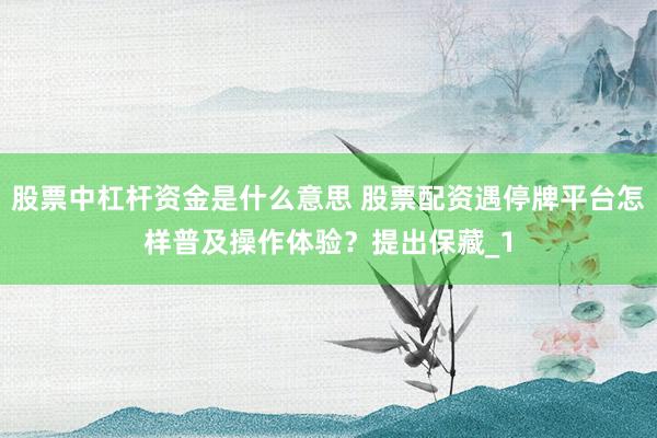 股票中杠杆资金是什么意思 股票配资遇停牌平台怎样普及操作体验？提出保藏_1