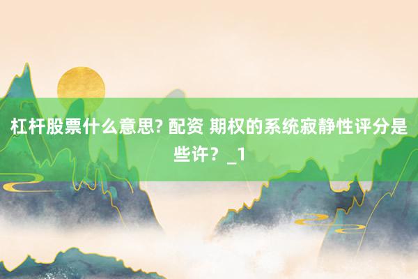 杠杆股票什么意思? 配资 期权的系统寂静性评分是些许？_1