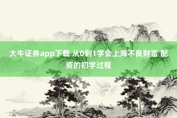 大牛证券app下载 从0到1学会上海不良财富 配资的初学过程