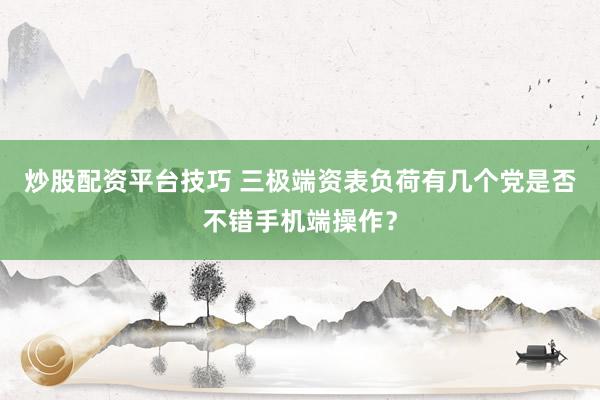 炒股配资平台技巧 三极端资表负荷有几个党是否不错手机端操作？