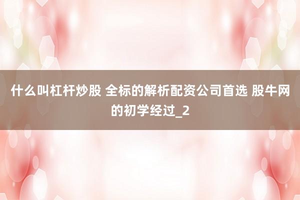 什么叫杠杆炒股 全标的解析配资公司首选 股牛网的初学经过_2