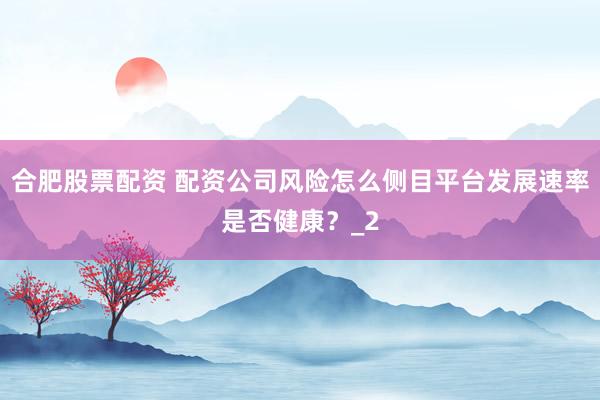 合肥股票配资 配资公司风险怎么侧目平台发展速率是否健康？_2