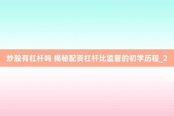 炒股有杠杆吗 揭秘配资杠杆比监管的初学历程_2