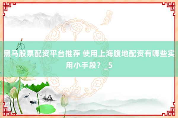 黑马股票配资平台推荐 使用上海腹地配资有哪些实用小手段？_5