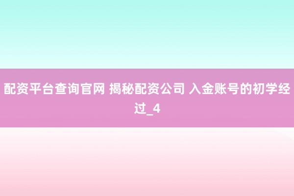 配资平台查询官网 揭秘配资公司 入金账号的初学经过_4
