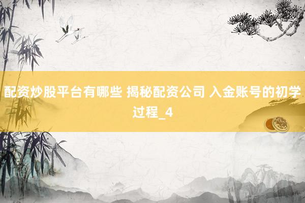 配资炒股平台有哪些 揭秘配资公司 入金账号的初学过程_4