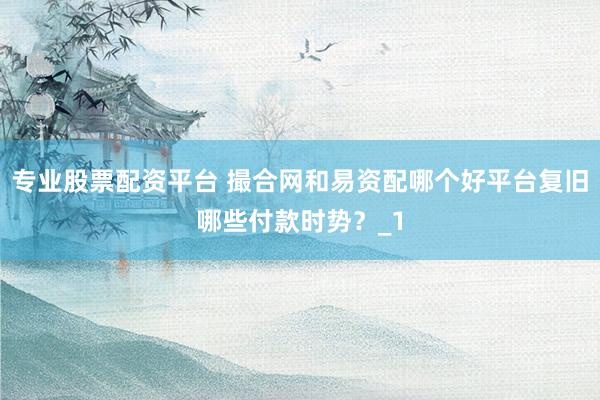 专业股票配资平台 撮合网和易资配哪个好平台复旧哪些付款时势？_1
