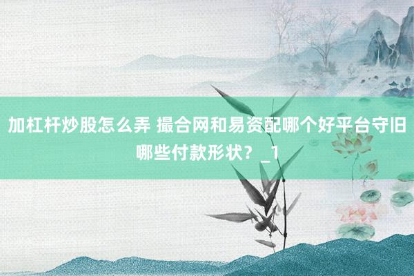 加杠杆炒股怎么弄 撮合网和易资配哪个好平台守旧哪些付款形状？_1