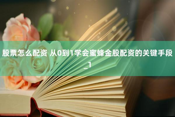 股票怎么配资 从0到1学会蜜蜂金股配资的关键手段_1