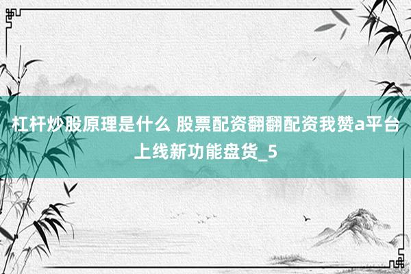 杠杆炒股原理是什么 股票配资翻翻配资我赞a平台上线新功能盘货_5