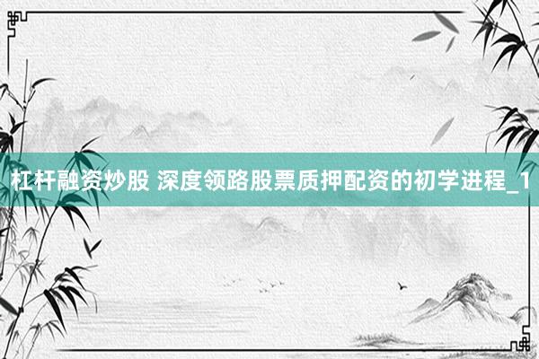 杠杆融资炒股 深度领路股票质押配资的初学进程_1