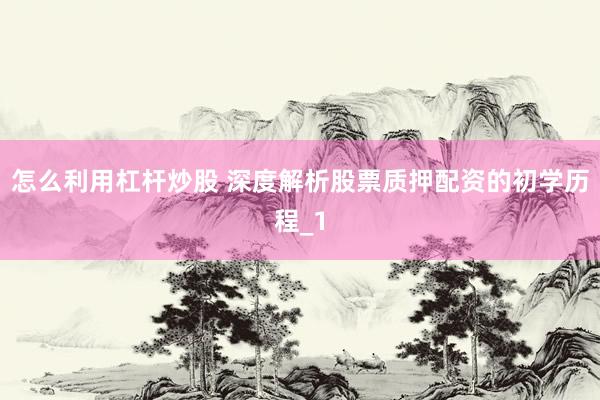 怎么利用杠杆炒股 深度解析股票质押配资的初学历程_1