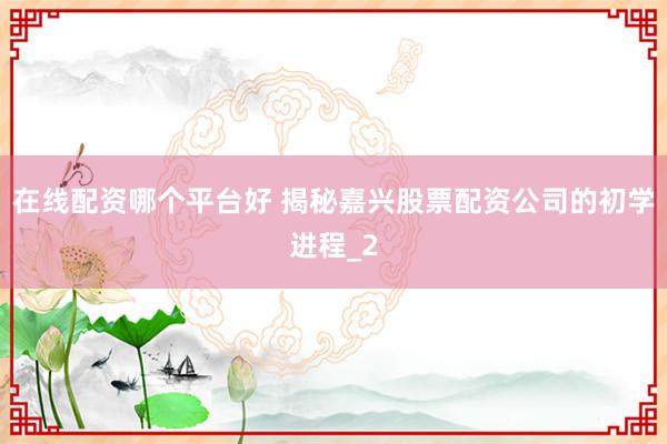 在线配资哪个平台好 揭秘嘉兴股票配资公司的初学进程_2