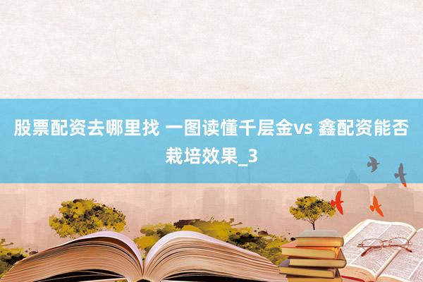 股票配资去哪里找 一图读懂千层金vs 鑫配资能否栽培效果_3