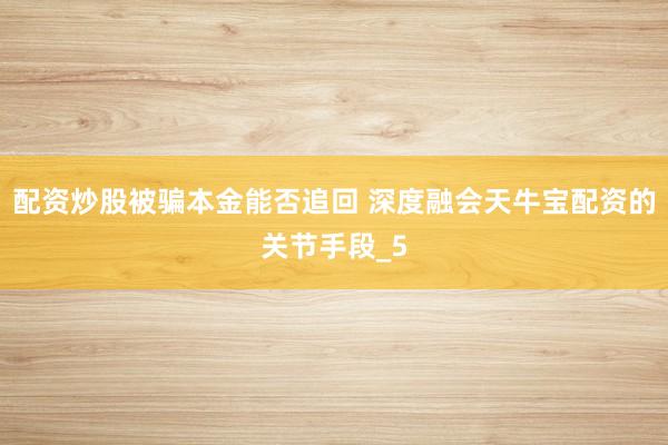 配资炒股被骗本金能否追回 深度融会天牛宝配资的关节手段_5