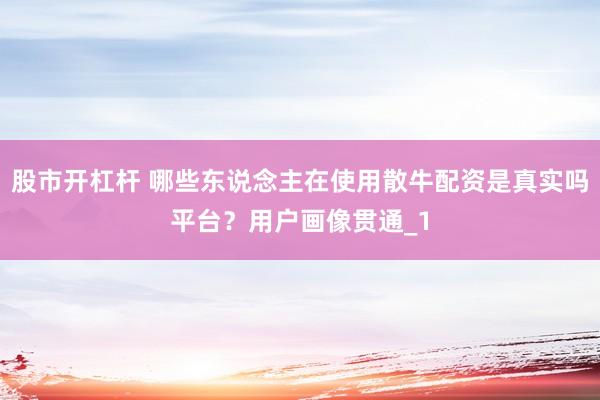 股市开杠杆 哪些东说念主在使用散牛配资是真实吗平台？用户画像贯通_1