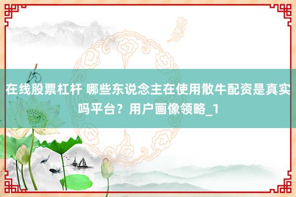 在线股票杠杆 哪些东说念主在使用散牛配资是真实吗平台？用户画像领略_1