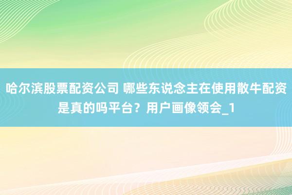 哈尔滨股票配资公司 哪些东说念主在使用散牛配资是真的吗平台？用户画像领会_1