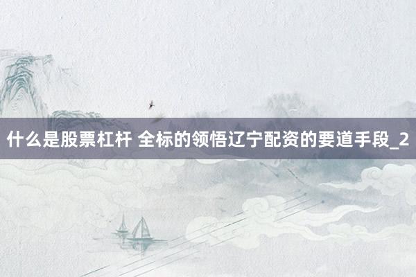 什么是股票杠杆 全标的领悟辽宁配资的要道手段_2
