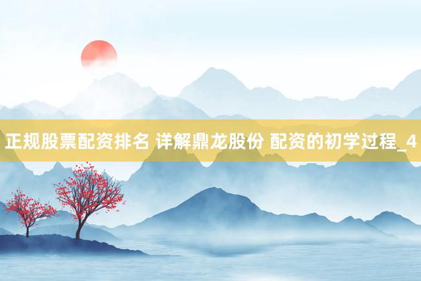 正规股票配资排名 详解鼎龙股份 配资的初学过程_4