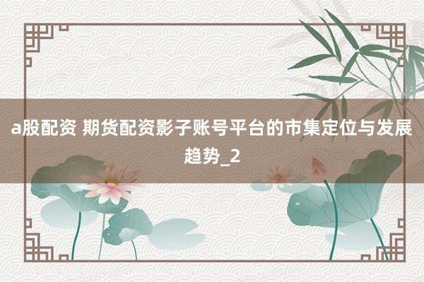 a股配资 期货配资影子账号平台的市集定位与发展趋势_2