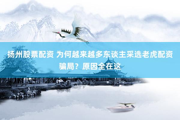 扬州股票配资 为何越来越多东谈主采选老虎配资骗局？原因全在这