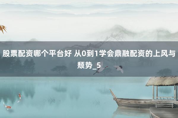 股票配资哪个平台好 从0到1学会鼎融配资的上风与颓势_5