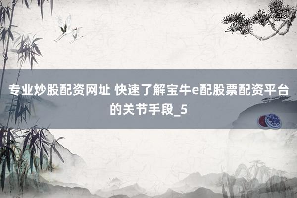 专业炒股配资网址 快速了解宝牛e配股票配资平台的关节手段_5