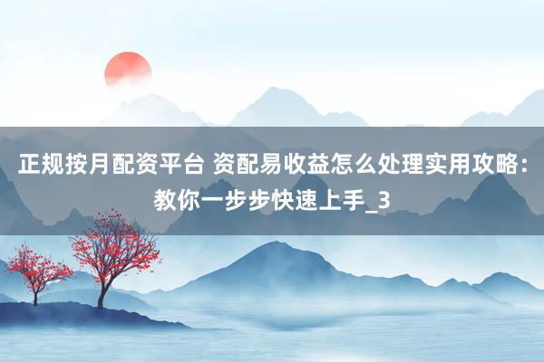 正规按月配资平台 资配易收益怎么处理实用攻略：教你一步步快速上手_3