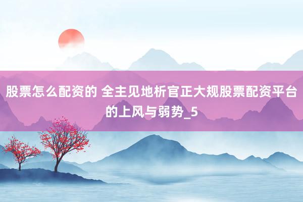 股票怎么配资的 全主见地析官正大规股票配资平台的上风与弱势_5