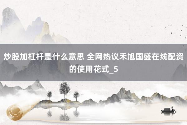 炒股加杠杆是什么意思 全网热议禾旭国盛在线配资的使用花式_5